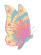 dandj